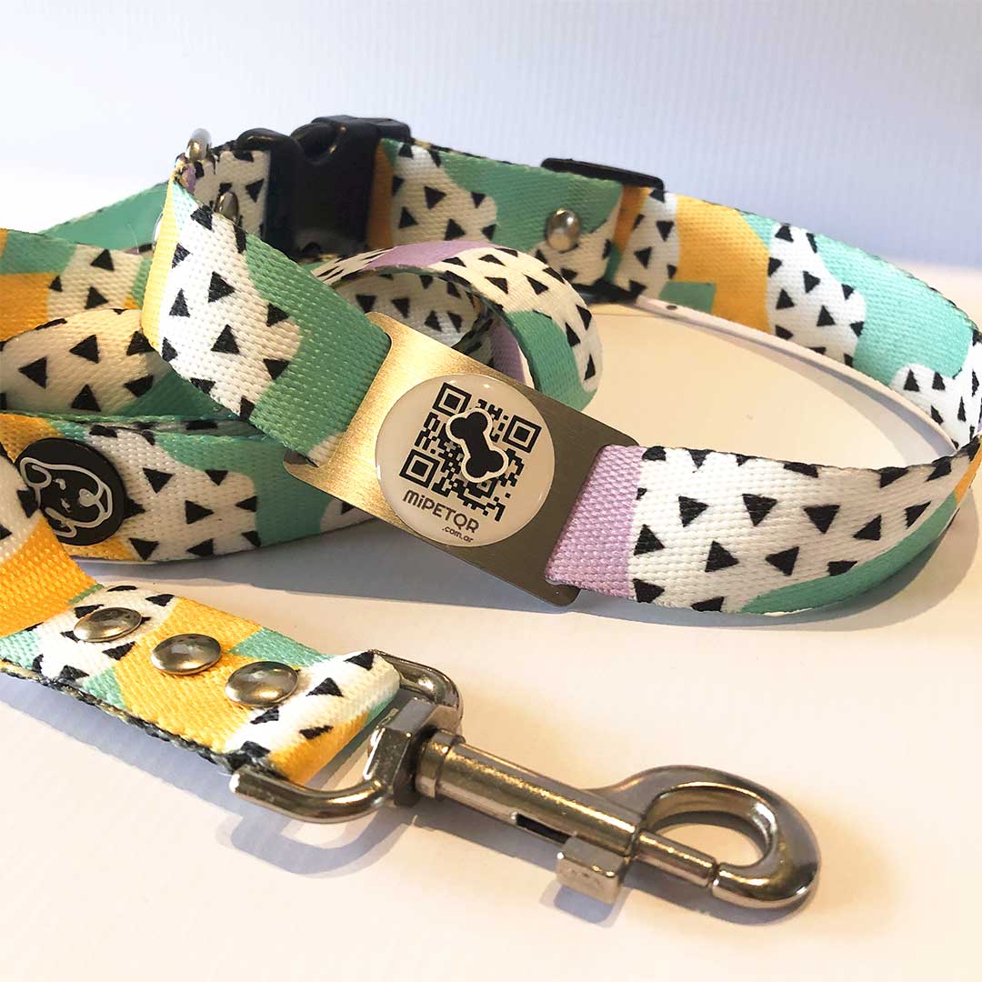 Collar tricolor talle M+ correa 1,5 mt
