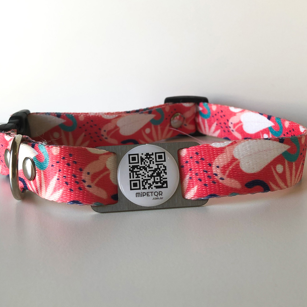 Collar Silvestre + QR - Talle M